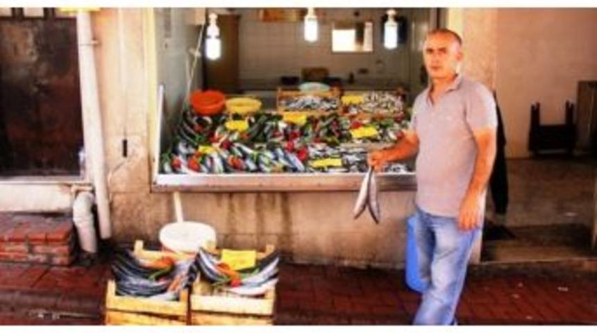 Bartın&rsquo;da Balık Bereketi