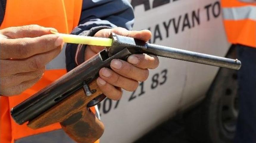 Melikgazi Belediyesi&rsquo;nden &ldquo;alo Kurbanım Ka&ccedil;tı&rdquo; Telefon Hattı