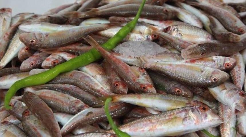 Ordu&rsquo;da Tezgahın En Pahalısı Barbun