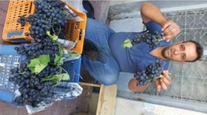 Kuyumcu&rsquo;da Kozak &Uuml;z&uuml;m&uuml; Ge&ccedil;im Kaynağı Oldu