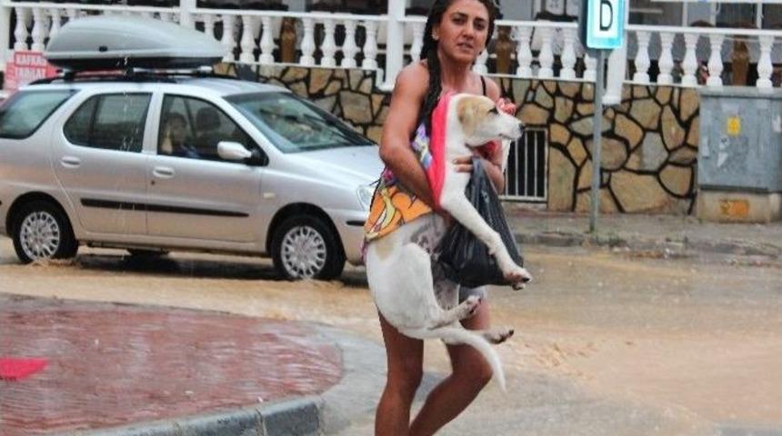 Didim Yağmura Tutuldu