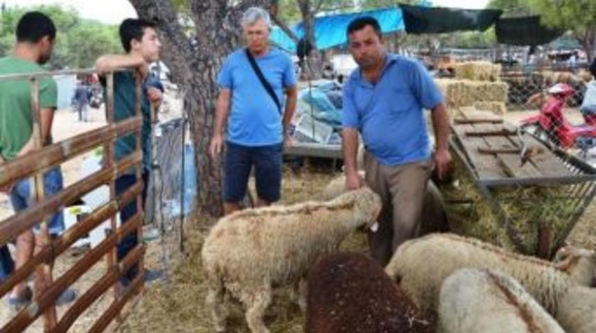 Ebk&rsquo;nın Kalan Kurbanlıkları Satın Alacağını Duyurması Bile Kurban Satıcılarını Memnun Etmedi