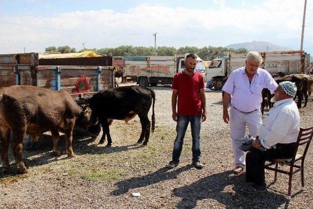 Kesob Sahte Parayı Önlemek İçin Besicilere Kalem Dağıttı