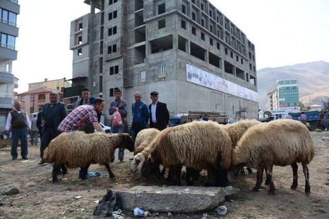 Tatvan’da Kurbanlık Çok Alıcı Yok