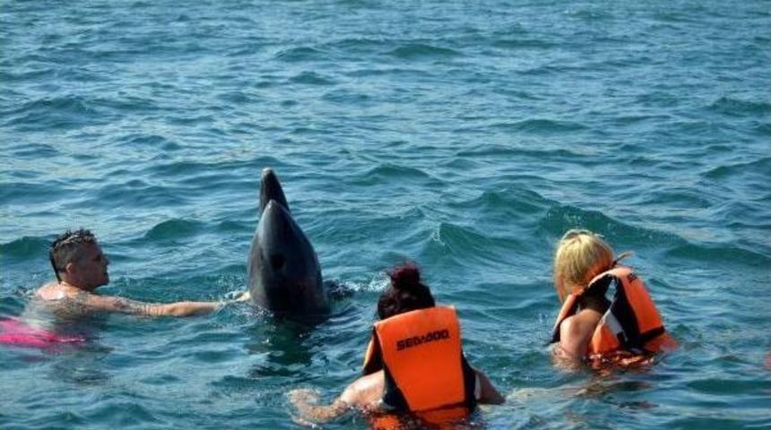 Tatilcilere Yunuslardan Bayram S&uuml;rprizi