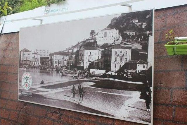 Giresun Sokaklarını Tablolar Süslüyor 1