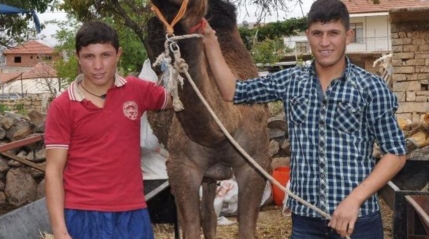 Korkuteli&rsquo;li Besiciler Satışlardan Memnun