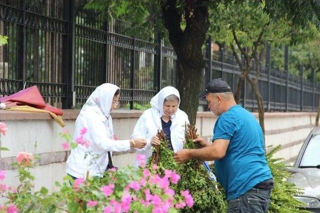 Yağmura Rağmen Mezarlıklara Koştular