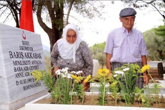 Şehit Torunlarının Mezarında Gözyaşı Döktüler 1