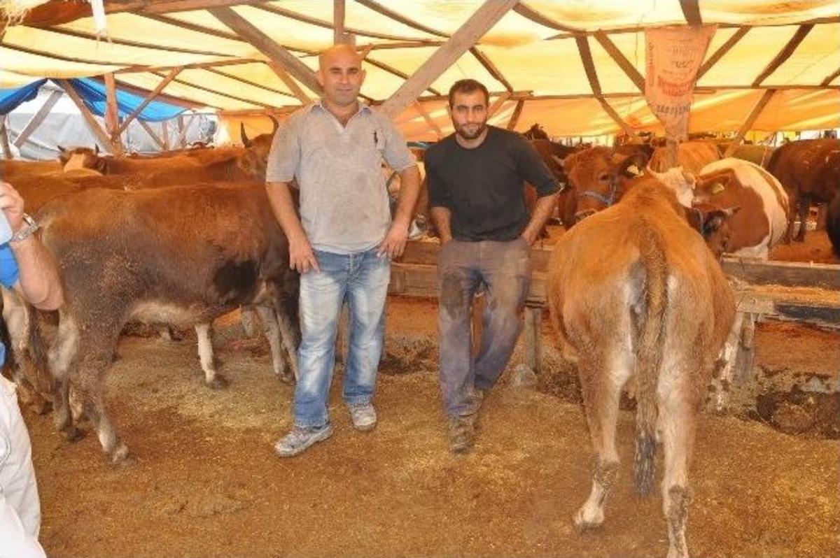 İzmir&rsquo;de B&uuml;y&uuml;kbaş Kalmadı, K&uuml;&ccedil;&uuml;kbaş Kurban Kaldı
