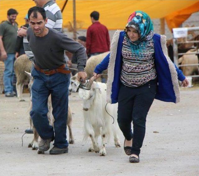 Kurban Pazarında Arife Günü Yoğunluğu