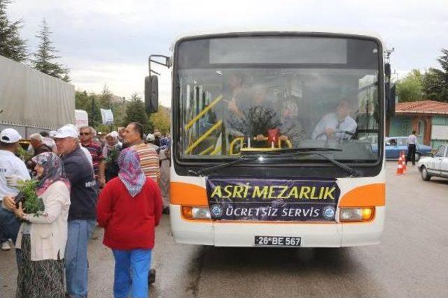 Kabir Ziyareti Çiçekleri Belediyeden