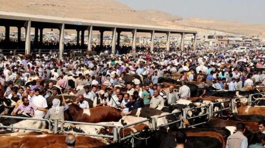 Arife G&uuml;n&uuml;nde Hayvan Pazarına Akın