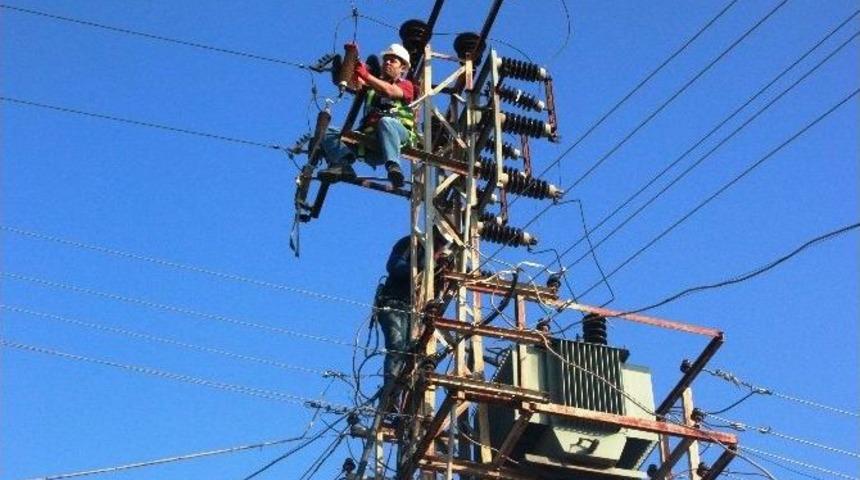Ceylanpınar Dedaş&rsquo;tan Hat Bakım &Ccedil;alışması
