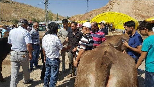 Sivas’ta Kurban Pazarı’nda Arefe Yoğunluğu