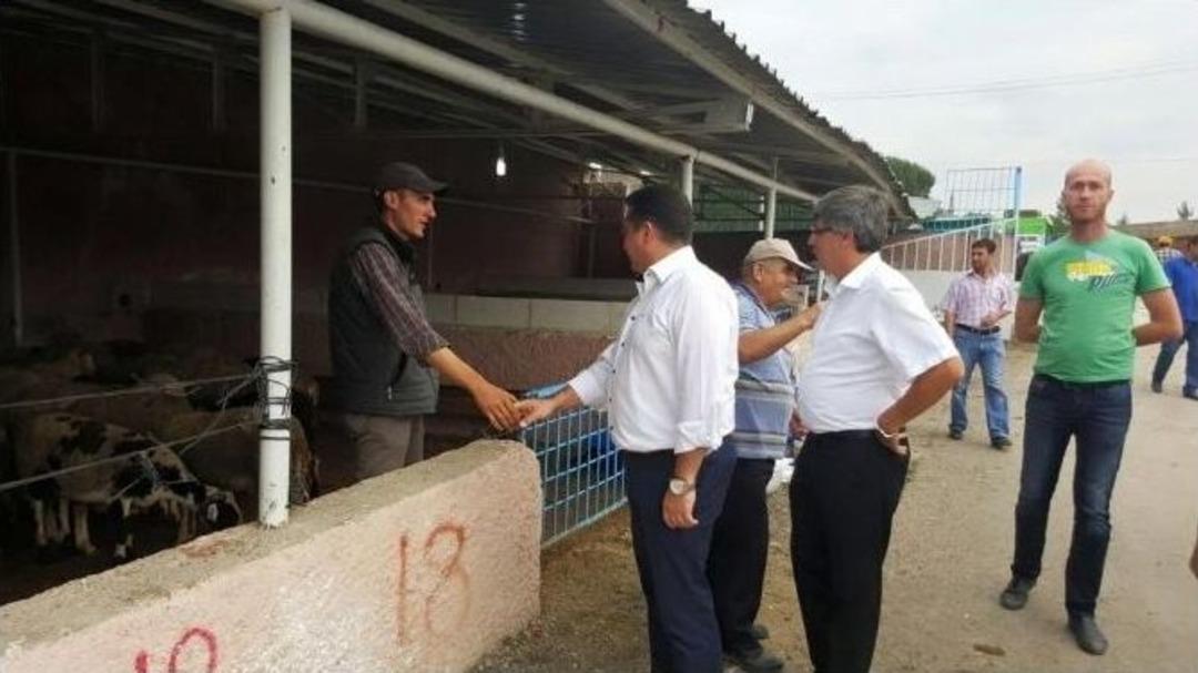 Başkan Bakıcı Hayvan Pazarını Ziyaret Etti