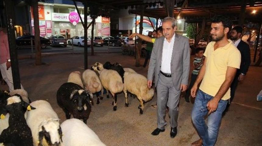 Başkan Demirkol, Kurban Satıcıları İle G&ouml;r&uuml;şt&uuml;