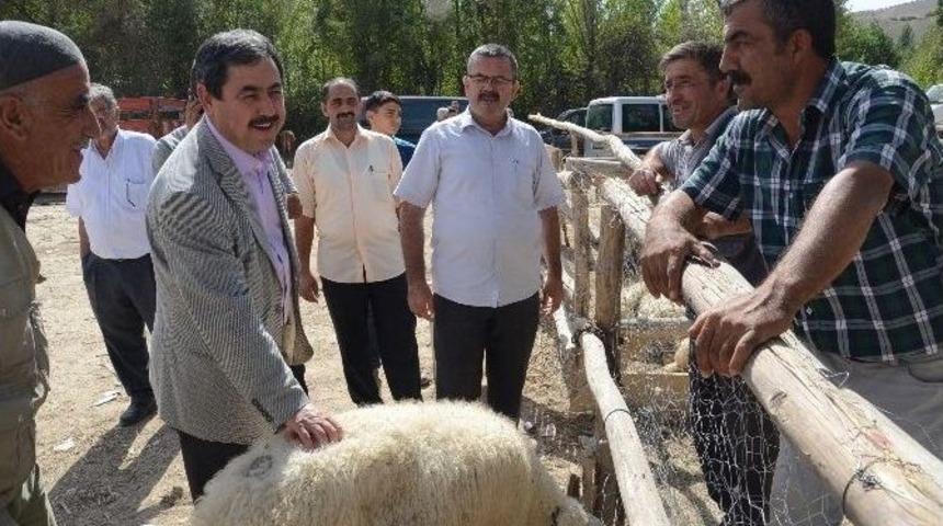 Başkan Eser Kurbanlık Hayvan Satış Pazarını Ziyaret Etti