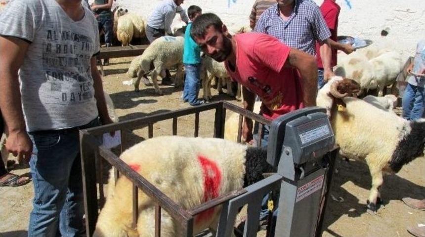 Nizip&rsquo;te Bayram Yoğunluğu