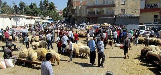 Nizip’te Bayram Yoğunluğu