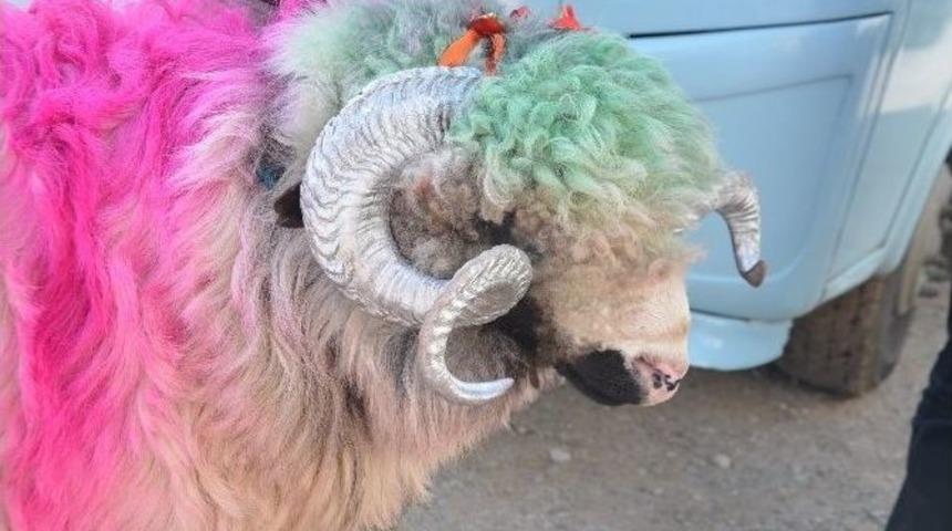 Kurban Pazarına Damgasını Vurdu