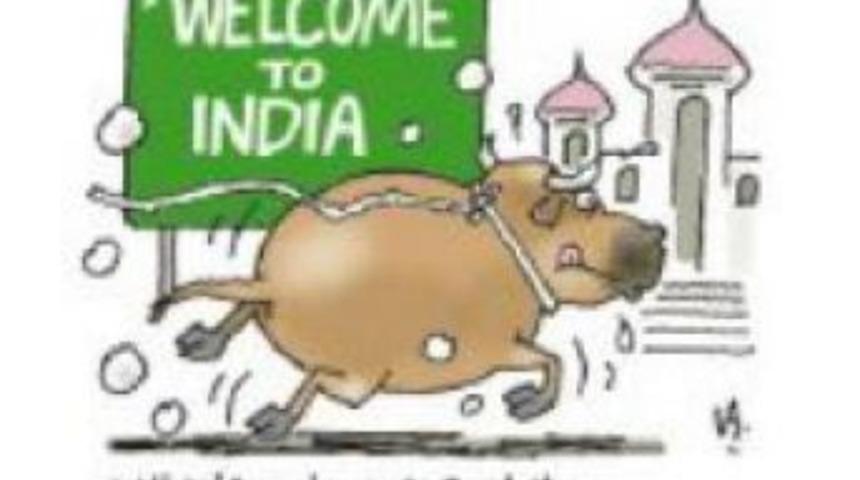 Feast Of Sacrifice Begins In Turkey