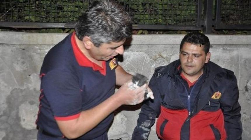 (&ouml;zel Haber) Bah&ccedil;e Duvarına Sıkışan Kediyi İtfaiye Kurtardı