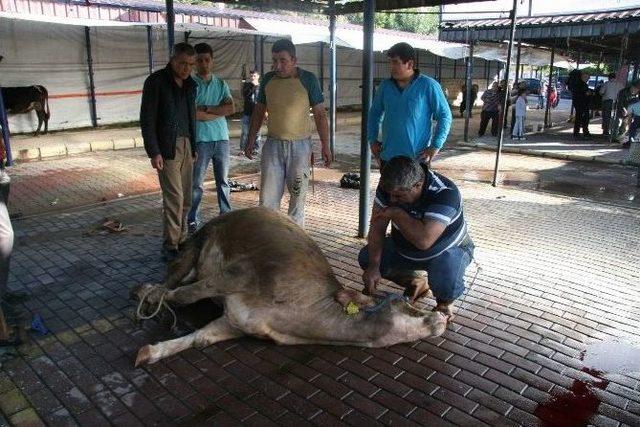 Afyonkarahisar’da Kurban Bayramı Manzaraları