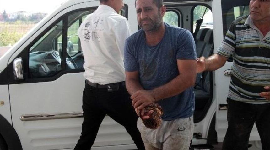 Acemi Kasaplar Hastanelere Akın Etti