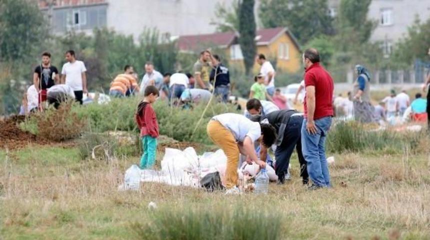 Y&uuml;ksek Gerillim Hattı Altında Kurban Kesimi