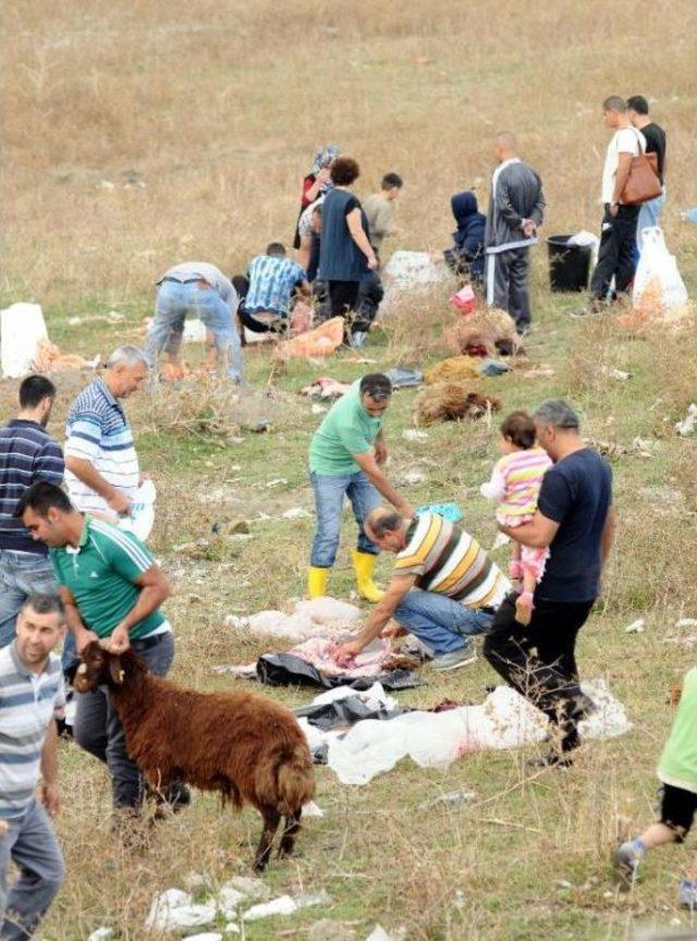 Yüksek Gerillim Hattı Altında Kurban Kesimi