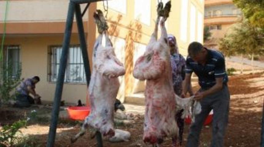 Kilis&rsquo;te Kurban Kesen 30 Kişi Hastanelik Oldu