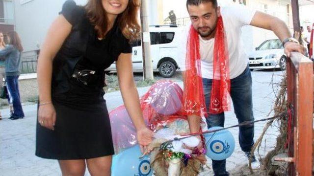 Beypazarı'nda Nişanlıya Bayramda Koç Geleneği Sürüyor
