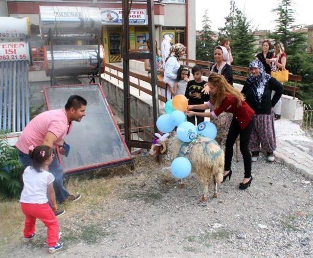 Beypazarı'nda Nişanlıya Bayramda Koç Geleneği Sürüyor