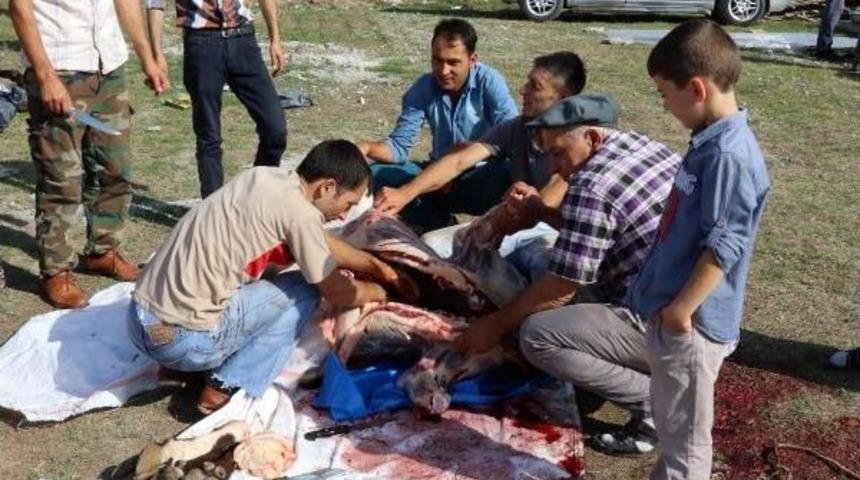 Samsun&rsquo;Da Kurban Kesimi Manzaraları