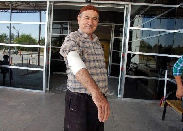 Adıyaman&rsquo;da, Acemi Kasaplar Hastaneye Akın Etti 2