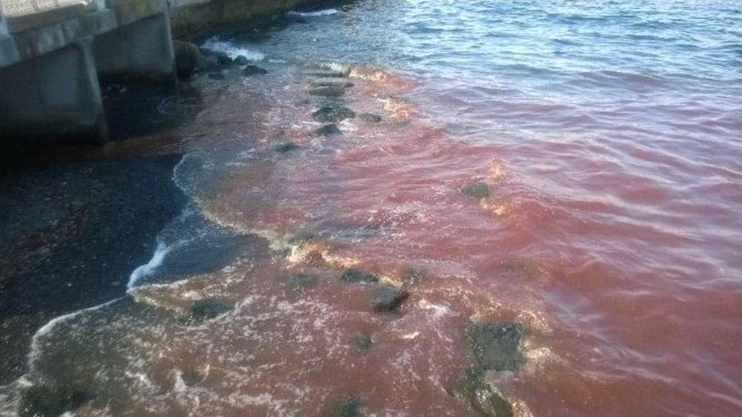 İstanbul Boğazı Yine Kan G&ouml;l&uuml;ne D&ouml;nd&uuml;