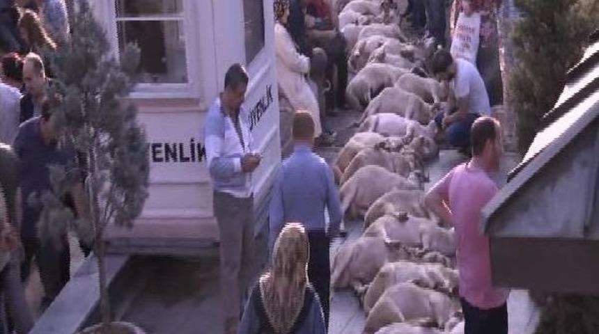 Ey&uuml;p Sultan'da 46 Şehit I&ccedil;in 46 Kurban Kesildi