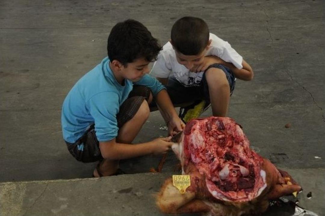 Antalya&rsquo;da Kurban Duyarlılığı