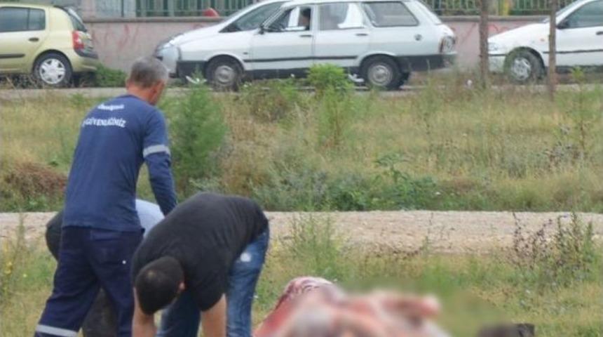 Boş Arazilerde Kurban Kesme Manzaraları