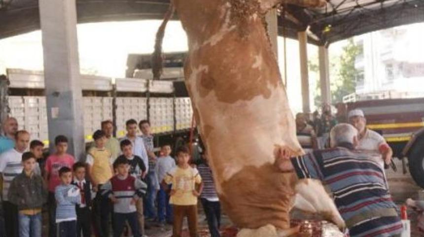 &Ccedil;ocuklar Kurban Kesimini Izledi