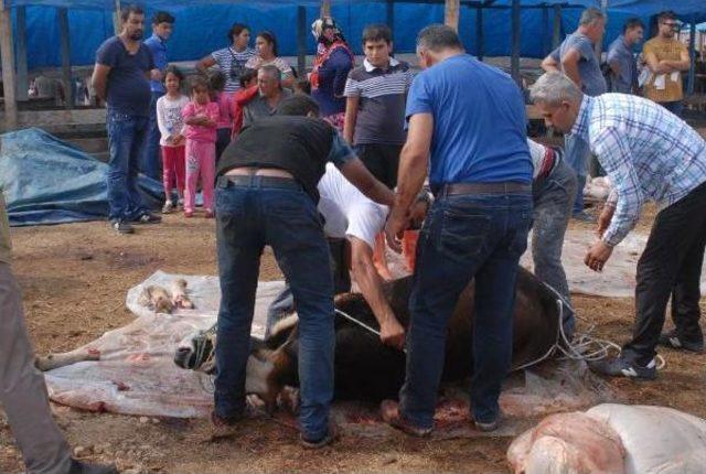 İzmir de Kurban Bayramı Kutlamalarında Manzara Değişmedi 3