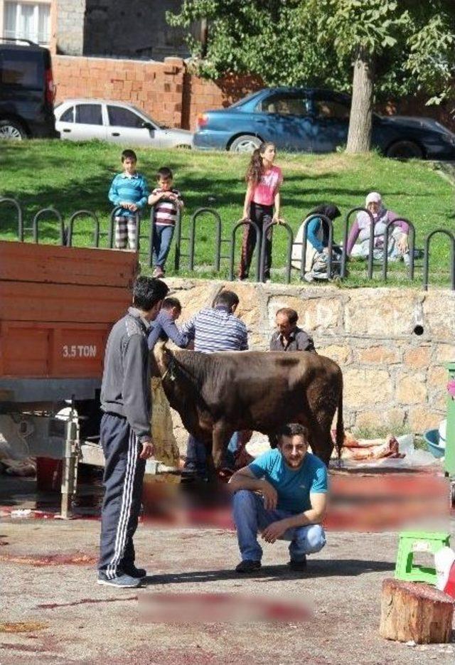 Çocukların Önünde Kurban Kestiler