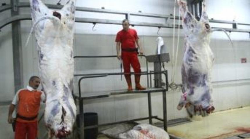 Yedi Mezbahanede Kurbanlar Kesildi