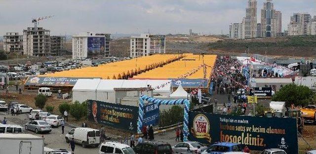 Kurban Pazarlarında Birinci G&uuml;n Yoğunluğu 1