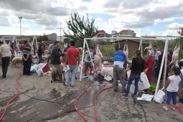 Acemi Kasaplar Hastanelik Oldu 3