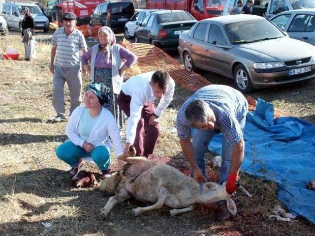 Yozgat'ta Acemi Kasaplar Hastanelik Oldu