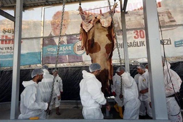 Kurban Bayramı’nda Yenimahalle Farkı