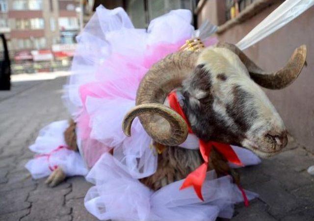 Çiçekçiler Gelin Adaylarına Gidecek Koçları Süsledi 2