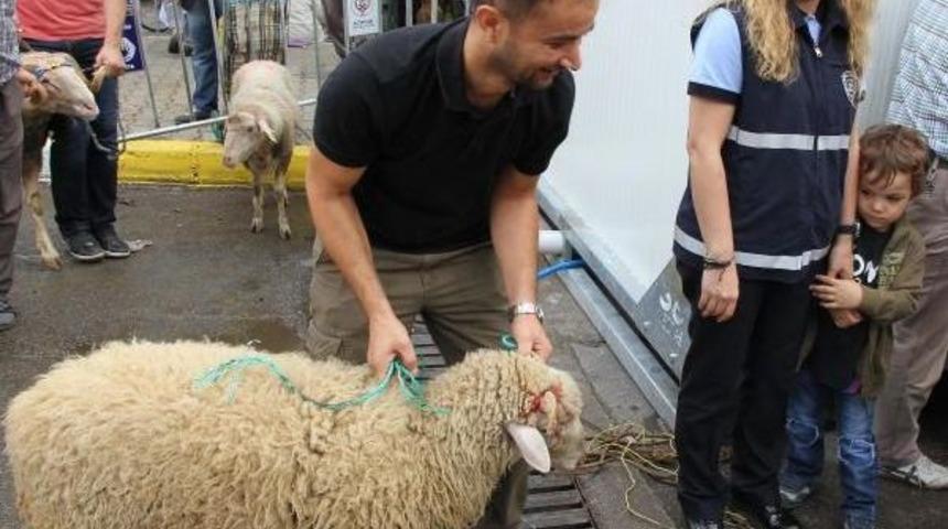 Balıkesir'de Mobil Kesim Hizmeti